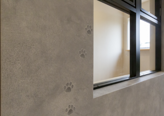 猫との暮らしにこだわった工夫満載